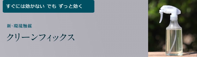 クリーンフィックス